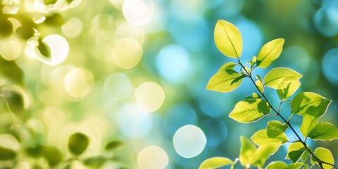 Wall Mural - folhas verdes frescas de primavera e verã£o com reflexos do sol e fundo de cacu azul, vista da natur