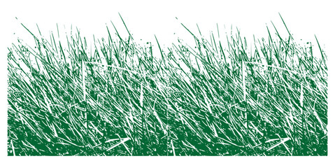 Poster - green grass background