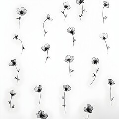 Poster - Minimalist black and white floral wallpaper design featuring simple line drawings of flowers in a sparse abstract pattern  Elegant and refined botanical decor for modern interiors
