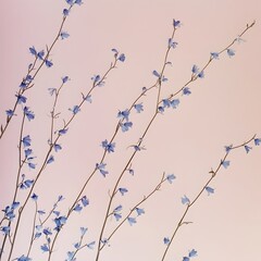 Poster - Minimalist Floral Wallpaper with Delicate Bluebells on Soft Pink Background  This contemporary and serene digital artwork showcases a beautiful yet simple floral pattern with small