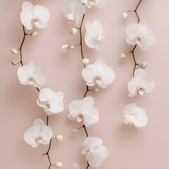 Poster - Elegant and Minimalist Floral Wallpaper Design with Sparsely Arranged White Orchids Blooming on a Soft Pastel Colored Background Creating a Serene and Calming Atmosphere