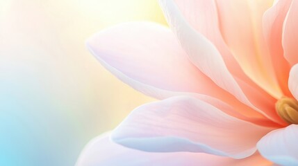 Wall Mural - Soft Pink Flower Petals Close Up Macro Photography Abstract Background