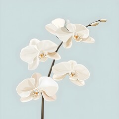 Poster - Elegant and Serene Minimalist Floral Wallpaper Design Featuring Sparsely Arranged Simple White Orchid Blooms on a Soft Pastel Colored Background