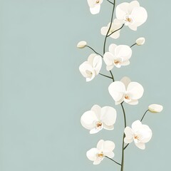 Poster - Minimalist of a Floral Wallpaper Design Featuring Sparse Arrangement of Simple White Orchid Blooms on a Soft Pastel Colored Background