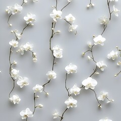 Poster - Elegant and Serene Minimalist Floral Wallpaper Design Featuring Small Evenly Spaced Out White Orchid Blooms on a Soft Light Gray Background