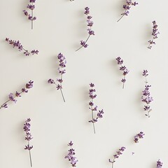 Poster - Minimalist lavender floral wallpaper with small spaced out purple lavender blooms on a soft white background  Elegant simple and calming botanical pattern perfect for home decor and interior design