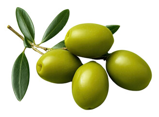 Poster - PNG Olive fruit plant green.