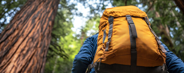 A person is wearing a yellow backpack and is standing in front of a large tree. The backpack is on their back and is visible from the front. Concept of adventure and exploration