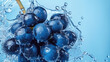© Chatchanan - Fresh blue grapes and water splash against a clean blue backdrop