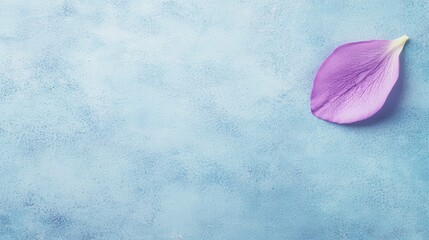 Wall Mural - Single Purple Flower Petal on Blue Background