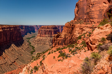 Canyon Landscape Background