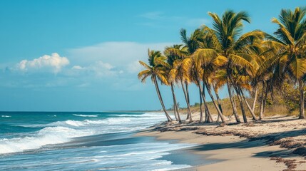 Wall Mural - A row of palm trees along a sandy beach, with waves gently crashing in the background.