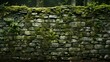 © Asif - a stone wall with moss growing on it.