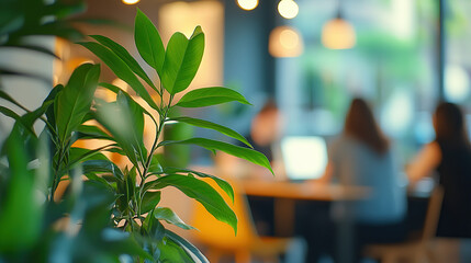 a blurred background of an office or coffee shop with green plants and people working in the foregro