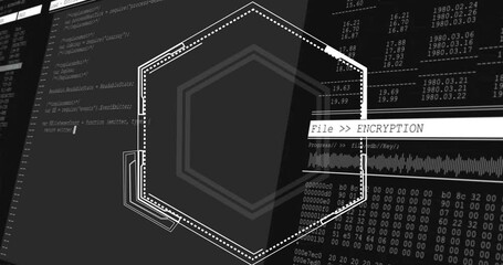 Poster - File encryption text animation over hexagonal shapes and binary code background
