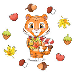 Cute cartoon tiger with a red scarf and fallen leaves in an autumn frame. Vector illustration of an animal with hearts, nuts, acorns, leaves, mushrooms on a white background.