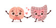 © Юлия Викленко - The brain and intestines hold hands. Human organs. Cartoon style. Vector illustration.