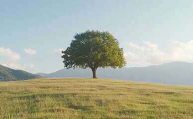 Wall Mural - Serene Lone Tree on Rolling Hill at Sunrise