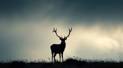 Canvas Print - Silhouette of a Deer with Large Antlers Against Cloudy Sky