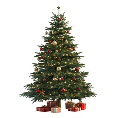 festively decorated christmas tree with presents underneath