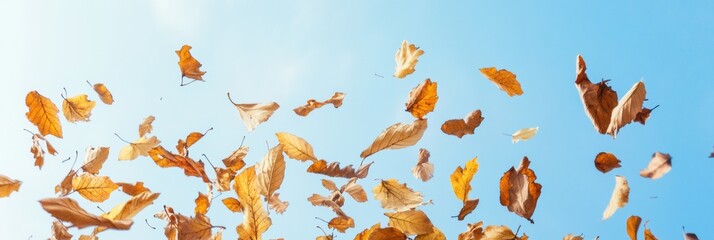 Poster - Autumn Leaves Falling Against a Bright Blue Sky - Capturing the Essence of Fall
