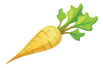 Parsnip vector illustration isolated in white background