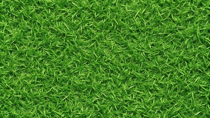 background of summer grass lawn, seamless repeatable texture