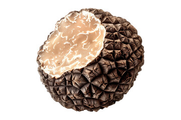 Closeup of summer truffle cut in half, showcasing its detailed texture and pattern, isolated on a white background. Concept of gourmet food