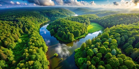 Wall Mural - Bird's eye view of a beautiful landscape with green fields and a river