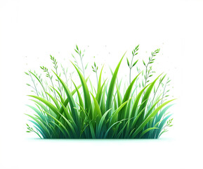 Green grass on white background