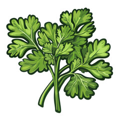 A single sprig of fresh green cilantro with a white outline.