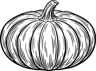 Pumpkin hand drawing vector illustration isolated in white background