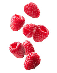 red falling raspberry berries isolated on transparent