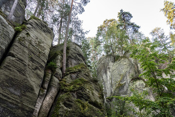 Naklejka na meble National Park of Adrspach Teplice rocks. Beautiful limestone sandstones rocks in Adrspach, Czech Republic. Adrspach Teplice Rocks mountain range in Central Sudetes part of the Table Mountains.