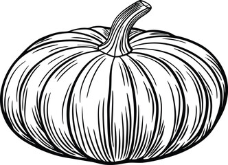 Pumpkin hand drawing vector illustration isolated in white background