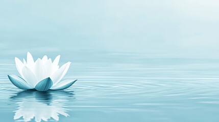 Single White Water Lily on Calm Blue Water with Copy Space