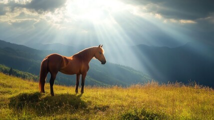 Horse in Mountain Landscape