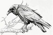 © Volha - black-and-white illustration of a raven perched on a branch, coloring page