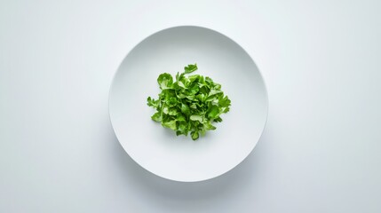 Wall Mural - A pristine white ceramic plate showcases a beautifully arranged green salad, featuring fresh, vibrant leaves at the center, providing an appealing visual presentation