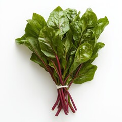 Poster - A bunch of fresh red chard leaves tied together with a rubber band, isolated on a white background.