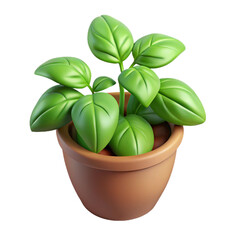 Basil 3d cartoon style illustration