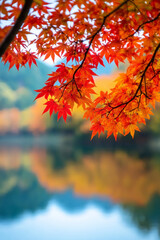 Poster - Tranquil Japanese landscape showcasing the dramatic change of leaf colors in the enchanting Koyo season 