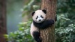 © Attasit - Adorable animals like a baby panda climbing up a tree trunk
