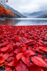 Poster - Vivid red and orange leaves blanket a serene park in Japan during the breathtaking Koyo season 