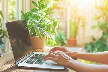 Poster - Laptop on a Windowsill with Green Plants and Sunlight