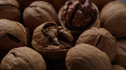 Wall Mural - Walnut nut 