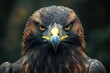 © NpicArt - Close-up Portrait of a Golden Eagle with Intense Gaze