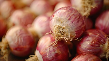 Close-up view of a bunch of fresh red onions with their roots still intact, highlighting their vibrant purple and white layers and natural textures