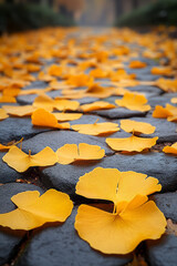 Poster - A yellow autumn background of fallen ginkgo leaves covering an old cobblestone path,