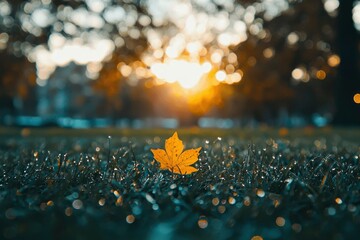 Wall Mural - Single Yellow Leaf in Dew-Covered Grass with Sunlit Bokeh Background